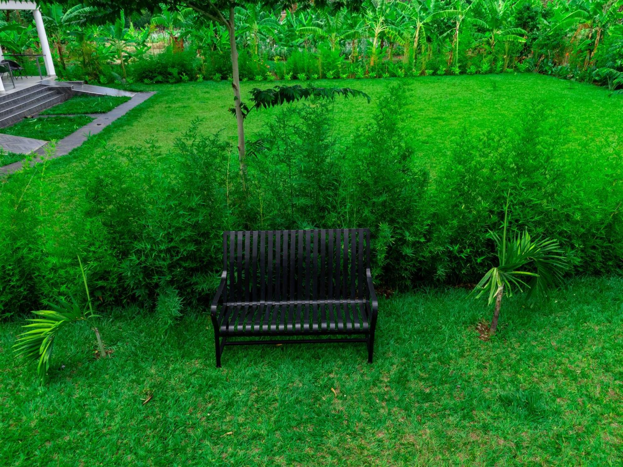 Shose Farmhouse Chalets & Campsite Moshi Ngoại thất bức ảnh